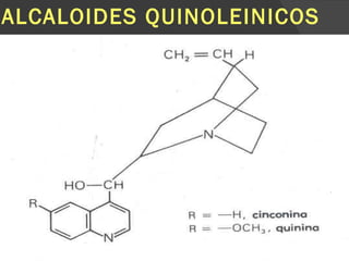 ALCALOIDES QUINOLEINICOS 