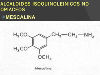 ALCALOIDES ISOQUINOLEINICOS NO OPIACEOS MESCALINA 