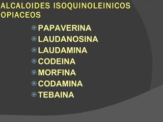 ALCALOIDES ISOQUINOLEINICOS OPIACEOS PAPAVERINA LAUDANOSINA LAUDAMINA CODEINA MORFINA CODAMINA TEBAINA 