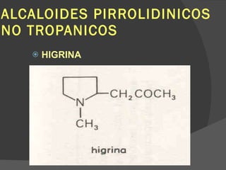 ALCALOIDES PIRROLIDINICOS NO TROPANICOS HIGRINA 