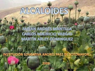 ALCALOIDES FABIAN ANDRÉS MANTILLA CARLOS MAURICIO VARGAS MARTÍN ARLEY DOMINGUEZ INSTITUCIÓN EDUCATIVA ANDRÉS PAEZ DE SOTOMAYOR 2009 