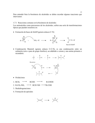 15
Para entender bien la biosíntesis de alcaloides se deben recordar algunas reacciones que
intervienen:


1.7.1 Reacciones comunes en la biosíntesis de alcaloides
Los aminoácidos como precursores de los alcaloides, sufren una serie de transformaciones
típicas que pueden resumirse en:

• Formación de bases de Schiff (genera enlaces C=N)


            O                                                           OH          R'                       R
          R C       +           :NH2       R'                         R C N                                      C N R'
                H                                                                   H                        H
                                                                        H
                                                                                                           base de Schiff


• Condensación Mannich (genera enlaces C-C-N), es una condensación entre un
  carbanión (orto o para de grupo fenólico), un aldehido o cetona y una amina primaria o
  secundaria.
                                               R                 R'                            R      R'
                                -
                               CH      +       C O          +    N H                         CH C N


                        Mecanismo

                           R                       R'                       R OH R'
                               C O                 :N H                      C N


                                           R           R'                                -
                                                                                    CH
                                       C   C N


• Oxidaciones

1. RCH3                 RCHO                                    R-COOH
2. R-CH2-NH2                RCH=NH                              R-COH
3. Deshidrogenaciones
4. Formación de epóxidos


                                                                                O
                                           C       C                        C       C
 