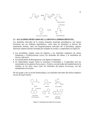 20
                                                                                            - CO2
                                                       Met
                                   C* COOH                                      C* COOH                       C*
                      H2 N           NH2                         HN               NH2               HN             NH2
                                                                 CH3
                                                                                                      CH3
                                                                                                         N-metil putrescina

                                                                                                                Transamina.




                                                         C*                                                     *C O
                                                   +
                                                    N        -                                      HN
                                                         X                                                        H
                                                   CH3                                                  CH3

                                        Sal N-metil ∆1 pirrolidium                                    4-metilaminobutanal


2.1 ALCALOIDES DERIVADOS DE LA ORNITINA (PIRROLIDÍNICOS).
Los alcaloides derivados de la ornitina llamados alcaloides pirrolidínicos, son menos
frecuentes que sus análogos piperidínicos, varios tipos de alcaloides se derivan del
aminoácido ornitina, estos son biogenéticamente derivados del ∆1 pirrolidina, algunos
adicionan cadenas laterales formadas por unidades de acetato y comprenden (ver figura 6):

• Las pirrolidinas simples como las higrinas y los alcaloides tropánicos de ciertas
  Solanaceae y Erythroxylaceae (coca), los alcaloides del tabaco y la stachidrina de
  Stachys officinalis.
• Las pirrolicidinas de Borraginaceas y de algunas Compuestas.
• las indolicidinas aunque tienen la estructura ∆1 pirrolidina y ∆1 piperidina solo los
  encontrados en los géneros Eleaocarpus y Tylofora, son derivadas del metabolismo de la
  ornitina, en los otros casos como los alcaloides del género Securinega, son del
  metabolismo de la lisina.

De este grupo y por su acción farmacológica, los alcaloides derivados del núcleo tropánico
son los de mayor interés.

                                                                                                          CH3
                                        O
                                                                                                    N

                             N               CH3                            +         COO
                                                                                            -
                                                                        N
                             CH3                                 H3 C           CH3                                    OH
                                   hygrina                           stachidrina                    núcleo tropánico

                             OR        CH2 (OCOR)
                                                                                                         O

                                                                                  N                                 N
                                   N                                              CH3
                                                                 N                                       O
                              pirrolicidinas
                         (en Borraginaceas)                             nicotina                     indolicidina
                                                                                                    (Eleaocarpus)


                                  Figura 6: Alcaloides derivados de la ornitina
 