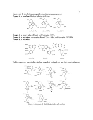 46
La mayoría de los alcaloides se pueden clasificar en cuatro grupos:
Grupo de la morfina (Morfina, tebaina, codeina).
                                                                               CH3 O                                                         CH3 O
                          HO


                                                                                         O                                                                 O
                                 O
                                                                                                                          N                                                         N
                                                                    N
                                                                                                                               CH3                                                           CH3
                                                                        CH3                                                                  CH3 O
                                                                                        HO
                          HO

                                      morfina (8-15%)                                        codeina (1-3.5%)                                                  tebaina (0.2-1%)


Grupo de la papaverina o Bencil Iso Quinoleina (BIQ).
Grupo de la narcotina o noscapina: Bencil Tetra Hidro Iso Quinoleina (BTHIQ).
Grupo de la narceina.

                                                                                                                                             O
                  CH3 O                                                        O                                                                                                    CH3
                                                                                                                                                                            N
                                                                    N                                               NCH3 O                   O                                      CH3
                  CH3 O                                                        O                                   O
                  CH3 O                                                                                                                                           O                          COOH
                                                                                                 OCH3                                       OCH3


                  CH3 O                                                                                                                                                                      OCH3
                                                                                                                                            OCH3
                                                                                                                                                                            OCH3

                                  papaverina                                                         narcotina                                                          narceina


Su biogénesis es a partir de la reticulina, girando la molécula por una línea imaginaria entre

                CH3 O      2
                                  3
                                      3a
                                             4
                                                      5
                                                                               OH
                                                          6     CH3 O               1                           CH3 O
                           1                          N
                                                                           2                                                                                          CH3 O
                                                                                              5
                  HO                             6a           CH3              4
                                                                                                     6
                                                                         3                           NCH 3                                    7
                  HO                             7                                                                   HO                 4
                                                                                                                                                       5                                            7
                           11                                                  3a
                                                                                             6a                                                                             HO                4
                                                                                                                                                                                                        5
                                                                                                                              3a              6a
                                                                    HO                       7                            3                                                         3a
                                                                                                                                                   NCH3                         3
                CH3 O      10
                                       8
                                                                                                                          2
                                                                                                                                                   6
                                                                                                                                                                                                   6a
                                                                                                                                                                                                        NCH 3
                                  9                                                                                                                                                                     6
                                                                                                                                                                                2
                                reticulina                                                                      CH3 O              1                                                     1
                                                               CH3O                                                                                                   CH3 O
                                                                                                                                   OH
                                                                                                                                                                                         O
                                                                                                                                                                                                  [H]


                                                                                                                    CH3 O                                             CH3 O
              CH3 O                                                 CH3O

                                                                                                                        HO                                                  HO
                                                                                                                                                                  quinasa
                  O                                                      O
                                                                                                                                                           NCH3                                         NCH3
                                             NCH 3                                                       NCH3

                 O                                                  CH3O
                                                                                                                    CH3 O                                             CH3 O                   salutaridino
                      codeinona
                                                                                                 [   H-]
                                                                                                                                       O(P)                                          OH
                                                                               tebaína


              CH3 O
                                                                         HO


                      O
                                                                               O
                                             NCH3
                                                                                                           NCH3

                HO                                                                                       morfina
                                                                         HO
                          codeina

                                 Figura 14: biosíntesis de alcaloides derivados de la morfina
 