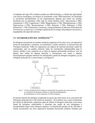 5
A mediados del siglo XX se habian aislado unos 800 alcaloides y a finales del siglo debido
a las nuevas tecnologías, ese número se incrementó a unas 7000 estructuras, los alcaloides
se encuentran principalmente en las angioespermas (plantas que tienen sus semillas
recubertas por un epicarpio), sobre todo en ciertas familias como: Apocynaceae (~800),
Annonaceae (~350), Loganiaceae (~400), Magnoliaceae (~350), Menispermaceae (~300),
Papaveraceae (~550), Renunculacease (~300), Rutaceae (~250), Rubiaceae (~450),
Solanaceae (~150), Fumariaceae, Lauraceae, excepcionalmente en bacterias (Piocianina de
Pseudomonas aeriginosa); y en hongos (psilocina de los hongos alucinógenos mexicanos y
ergopéptidos del ergot del centeno).


1.1 INCORPORACIÓN DEL NITRÓGENO [3, 4]

El nitrógeno está presente en muchas sustancias orgánicas en los seres vivos, en especial en
forma de aminoácidos y proteínas, en nucleótidos y ácidos nucléicos, el cual proviene del
Nitrógeno molecular. Todos los organismos son capaces de sintetizar proteínas a partir de
aminoácidos, pero no pueden sintetizar todos los aminoácidos indispensables para la
síntesis, debido a esto, requieren en su dieta de algunos aminoácidos protéicos; solo las
plantas (por medio de algunas bacterias o asociaciones con estas) y algunos
microorganismos pueden sintetizar los aminoácidos a partir de nitrógeno inorgánico, ya sea
nitrógeno molecular N2 o como nitratos. (ver figura 2)

                             Diazótrofos


                                                           Glutamina
                                  N2
                                                                             α -Oxoglutarato
                                             a
                                                            b       b

                                                                c                          otros aminoácidos
                                                     NH3                glutamato


                                                                                       d
                                                 e
                                                                                    Animales
                                       f
                             nitrato         nitrito



                           Plantas, hongos

       Fig. 2: Vías de incorporación de nitrógeno a aminoácidos las enzimas que intervienen son:
               a: nitrogenasa, b: glutamato sintetasa, c: glutamato deshidrogenasa,
               d: transaminasas, e: nitrito reductasa y f: nitrato reductasa

El término fijación de nitrógeno comprende los pasos que intervienen en la conversión del
Nitrógeno molecular (N2) o del nitrato en amoniaco. En el primer caso, ocurre en bacterias
por medio de diazótrofos, organismo capaz de utilizar el nitrógeno molecular, como única
fuente de nitrógeno, reduciéndolo a amoniaco por medio de una nitrogenasa e
incorporándolo luego como nitrógeno orgánico. Los diazótrofos pueden ser de vida libre o
formar asociaciones con otros organismos formando bacteriodes (nódulos formados por
 