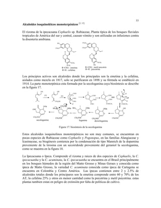 53
                                                                         [2, 15]
Alcaloides isoquinoléicos monoterpénicos

El rizoma de la ipecacuana Cephaelis sp. Rubiaceae, Planta típica de los bosques fluviales
tropicales de América del sur y central, causan vómito y son utilizadas en infusiones contra
la disentería amibiana.
                                     RO                                        CH 3O

                                                         N                                       N
                                   CH 3O                                       CH 3O

                                                 H
                                                 N                                        N




                                                             OCH3                                    OCH3
                                                     OCH3                                     OR
                                            R=CH3 : emetina                        R=CH3 : metil psicotrin
                                            R=H : cefalina                         R=H : psicotrina


Los principios activos son alcaloides donde los principales son la emetina y la cefalina,
aislados como mezcla en 1817, solo se purificaron en 1898 y su fórmula se estableció en
1914. La parte monoterpénica esta formada por la secologanina cuya biosíntesis se describe
en la figura 17.
                  OH                OH                                                                                            O
                                                               CHO                                                                        H
                        [O]                [O]               (-)                              CHO                  CHO
                                                                                                                                          OH
                                                              CHO
                                                                                              CHO                  CHO
                               CH2OH                          CHO                                                                          H
                                                                  +
                                                              H                           CHO                   COOCH3            COOCH3
                       OGlu                CH2O P
                              HO                     OGlu HO                       OGlu                     OGlu                      OH
        OHC
                        O
                                                     O                             O                        O                         O

        CH3 OOC                                                       CH3OOC
                               CH3OOC                                                      CH3OOC                        CH3OOC
              secologanina                                               loganina               deoxiloganina

                                       Figura 17: biosíntesis de la secologanina

Estos alcaloides isoquinolinos monoterpénicos no son muy comunes, se encuentran en
pocas especies de Rubiaceae como Cephaelis y Pogonopus, en las familias Alangiaceae y
Icasinaceae, su biogénesis comienza por la condensación de tipo Mannich de la dopamina
proveniente de la tirosina con un secoiridoide proveniente del geraniol la secologanina,
como se muestra en la figura 18.

La Ipecacuana o Ipeca. Comprende el rizoma y raices de dos especies de Cephaelis, la C.
ipecacuanha y la C. acuminata, la C. ipecacuanha se encuentra en el Brasil principalmente
en los bosques húmedos de la región del Matto Grosso y Minas Geraes y conocida como
ipeca de Matto Grosso, la variedad C. acuminata conocida como ipeca de Cartagena se
encuentra en Colombia y Centro América. Las ipecas contienen entre 2 y 2.5% de
alcaloides totales donde los principares son la emetina comprende entre 60 y 70% de los
AT, la cefalina 25% y otros en menor cantidad como la psicotrina y metil psicotrina. estas
plantas tambien estan en peligro de extinsión por falta de políticas de cultivo.
 