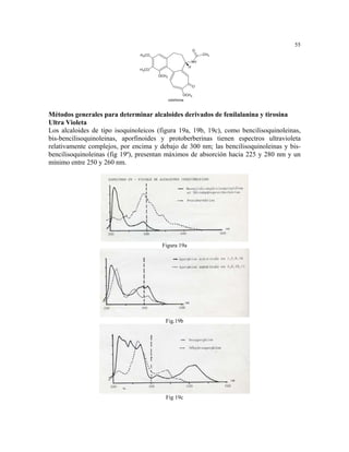 55
                                                               O
                                H3CO                               CH3

                                                             NH
                                                         H
                               H3CO
                                       OCH3


                                                             O

                                                        OCH3
                                              colchicina



Métodos generales para determinar alcaloides derivados de fenilalanina y tirosina
Ultra Violeta
Los alcaloides de tipo isoquinoleicos (figura 19a, 19b, 19c), como bencilisoquinoleinas,
bis-bencilisoquinoleinas, aporfinoides y protoberberinas tienen espectros ultravioleta
relativamente complejos, por encima y debajo de 300 nm; las bencilisoquinoleinas y bis-
bencilisoquinoleinas (fig 19ª), presentan máximos de absorción hacia 225 y 280 nm y un
mínimo entre 250 y 260 nm.




                                        Figura 19a




                                          Fig.19b




                                          Fig 19c
 