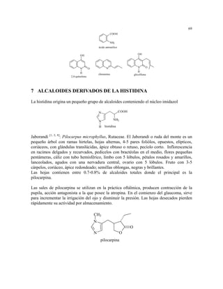 69
                                                          COOH


                                                        NH2
                                              ácido antranílico

                             OH                                                 OH




                             N        O             N                           N      O

                              H                                                  H
                                              chimanina                      glicofilona
                      2,4-quinolona




7 ALCALOIDES DERIVADOS DE LA HISTIDINA

La histidina origina un pequeño grupo de alcaloides conteniendo el núcleo imidazol

                                              N                   COOH

                                                           NH2
                                              N
                                              H    histidina


Jaborandí [1, 2, 8]: Pilocarpus microphyllus, Rutaceae. El Jaborandi o ruda del monte es un
pequeño árbol con ramas hirtelas, hojas alternas, 4-5 pares foliólos, opuestos, elípticos,
coriáceos, con glándulas translúcidas, ápice obtuso o retuso, pecíolo corto. Inflorescencia
en racimos delgados y recurvados, pedicelos con bractéolas en el medio, flores pequeñas
pentámeras, cáliz con tubo hemisférico, limbo con 5 lóbulos, pétalos rosados y amarillos,
lanceolados, agudos con una nervadura central, ovario con 5 lóbulos. Fruto con 3-5
cárpelos, coriáceo, ápice redondeado; semillas oblongas, negras y brillantes.
Las hojas contienen entre 0.7-0.8% de alcaloides totales donde el principal es la
pilocarpina.

Las sales de pilocarpina se utilizan en la práctica oftálmica, producen contracción de la
pupila, acción antagonista a la que posee la atropina. En el comienzo del glaucoma, sirve
para incrementar la irrigación del ojo y disminuir la presión. Las hojas desecados pierden
rápidamente su actividad por almacenamiento.

                                          CH3
                                          N
                                                                         O
                                          N                       O
                                               pilocarpina
 