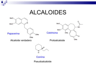 ALCALOIDES 
N 
MeO 
MeO 
OMe 
OMe 
O 
NH 
OMe 
MeO 
MeO 
OMe 
O 
Papaverina 
Colchicina 
Alcaloide verdadero Protoalcaloide 
NH 
H 
Coníina 
Pseudoalcaloide 
 
