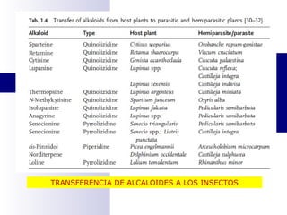 TRANSFERENCIA DE ALCALOIDES A LOS INSECTOS 
 