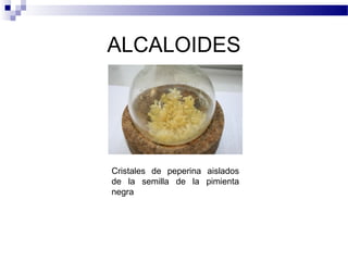 ALCALOIDES 
Cristales de peperina aislados 
de la semilla de la pimienta 
negra 
 