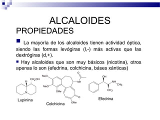 ALCALOIDES 
PROPIEDADES 
 La mayoría de los alcaloides tienen actividad óptica, 
siendo las formas levógiras (l,-) más activas que las 
dextrógiras (d,+). 
 Hay alcaloides que son muy básicos (nicotina), otros 
apenas lo son (efedrina, colchicina, báses xánticas) 
N 
CH2OH 
H 
O 
NH 
OMe 
MeO 
MeO 
OMe 
O 
Lupinina 
Colchicina 
CH3 
CH3 
NH 
OH 
Efedrina 
 