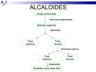 ALCALOIDES 
Droga pulverizada 
Disolvente orgánico/base 
Solución orgánica 
Agua/ácido 
Fase 
acuosa 
Fase 
orgánica 
Disolvente orgánico 
Fase 
orgánica 
Fase 
acuosa 
Evaporación 
Alcaloide como base libre 
 