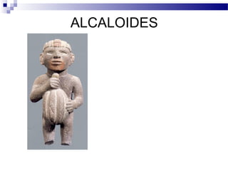 ALCALOIDES 
 