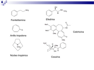 OH 
NH2 NH 
CH3 
Feniletilamina Efedrina 
O 
Anillo tropolona 
O 
NH 
OMe 
MeO 
MeO 
OMe 
O 
Colchicina 
NC 
H3 
Núcleo tropánico 
O 
OH 
H3C O 
OMe 
O 
Cocaína 
 