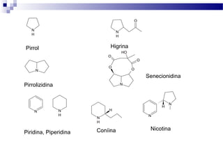 NH 
Pirrol Higrina 
Pirrolizidina 
Senecionidina 
Piridina, Piperidina 
NH 
O 
N 
O O 
N 
O 
HO 
O 
N NH 
NH 
H 
N 
N 
H 
Coníina Nicotina 
 