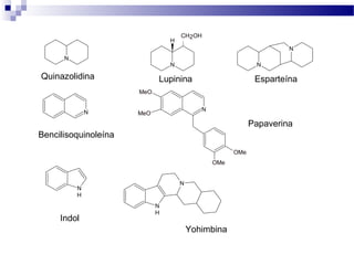 Quinazolidina Lupinina 
Bencilisoquinoleína 
Papaverina 
N 
N 
CH2OH 
H 
N 
N 
Esparteína 
MeO 
N N 
MeO 
OMe 
OMe 
NH 
Indol 
NH 
N 
Yohimbina 
 