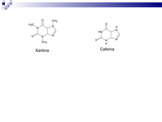 O 
N N 
O N 
N 
CH3 
H3C 
CH3 
O 
N H N H 
O N 
NH 
Cafeína 
Xantina 
