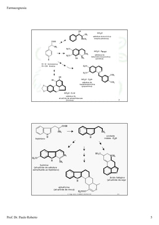 Farmacognosia
Prof. Dr. Paulo Roberto 5
Prof. Dr. Paulo Roberto 9
Prof. Dr. Paulo Roberto 10
 