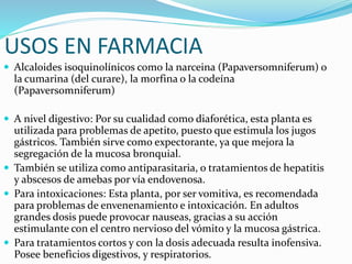 Alcaloides isoquinoleinicos bio far | PPTX