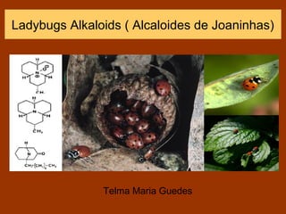 Ladybugs Alkaloids ( Alcaloides de Joaninhas)




               Telma Maria Guedes
 