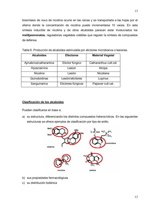 13
13
biosíntesis de novo de nicotina ocurre en las raíces y es transportada a las hojas por el
xilema donde la concentración de nicotina puede incrementarse 10 veces. En esta
síntesis inducible de nicotina y de otros alcaloides parecen estar involucrados los
metiljasmonatos, reguladores vegetales volátiles que regulan la síntesis de compuestos
de defensa.
Tabla 6. Producción de alcaloides estimulada por elicitores microbianos o lesiones.
Alcaloides Efectores Material Vegetal
Ajmalicina/catharantina Elicitor fúngico Catharanthus cult cel.
Hyosciamina Lesion Atropa
Nicotina Lesión Nicotiana
Quinolizidinas Lesión/elicitores Lupinus
Sanguinarina Elicitores fúngicos Papaver cult cel.
Clasificación de los alcaloides
Pueden clasificarse en base a:
a) su estructura, diferenciando los distintos compuestos heterocíclicos. En las siguientes
estructuras se ofrece ejemplos de clasificación por tipo de anillo.
b) sus propiedades farmacológicas
c) su distribución botánica
 