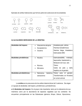 15
15
Ejemplos de anillos heterociclos que forman parte de la estructura de los alcaloides
A) ALCALOIDES DERIVADOS DE LA ORNITINA
Alcaloides del tropano  Hiosciamina atropina
 Escopolamina
 Cocaína
Anestesia gral, colirios
Parches transdérmicos
Hambre fatiga, Anestésico
Estimulante SNC
Alcaloides pirrolidínicos  Nicotina
 Ricinina
 Mimosina
EstimulanteSNC, midriasis,
taquicardia, hipertensión y
fibrilación de musc. estr.
Tóxico
Caída de pelo y daño
hepático en el ganado.
Alcaloides pirrolizidínicos  Retrorsina, heliotrina,
senecionina
Tóxico para el ganado.
Transformados en N-óxidos
en rumen animal.
La ornitina es la precursora de los anillos heterocíclicos de 5 carbonos. Da origen
a 3 grupos de alcaloides: del tropano, pirrolidínicos y pirrolizidínicos.
a.1) Alcaloides del tropano: Es el grupo más importante, tanto por la relevancia de sus
miembros como por la abundancia de especies vegetales que los contienen. Se
encuentran principalmente en las Solanáceas (géneros Atropa, Datura, Hyosciamus,
 