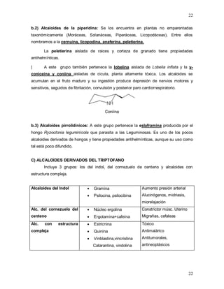 22
22
b.2) Alcaloides de la piperidina: Se los encuentra en plantas no emparentadas
taxonómicamente (Moráceas, Solanáceas, Piperáceas, Licopodáceas). Entre ellos
nombramos a la cernuina, licopodina, anaferina, peletierina.
La peletierina aislada de raices y corteza de granado tiene propiedades
antihelmínticas.
| A este grupo también pertenece la lobelina aislada de Lobelia inflata y la γ-
coniceína y coniína aisladas de cicuta, planta altamente tóxica. Los alcaloides se
acumulan en el fruto maduro y su ingestión produce depresión de nervios motores y
sensitivos, seguidos de fibrilación, convulsión y posterior paro cardiorrespiratorio.
Coniína
b.3) Alcaloides pirrolidínicos: A este grupo pertenece la eslaframina producida por el
hongo Ryzoctonia leguminícola que parasita a las Leguminosas. Es uno de los pocos
alcaloides derivados de hongos y tiene propiedades antihelmínticas, aunque su uso como
tal está poco difundido.
C) ALCALOIDES DERIVADOS DEL TRIPTOFANO
Incluye 3 grupos: los del indol, del cornezuelo de centeno y alcaloides con
estructura compleja.
Alcaloides del Indol  Gramina
 Psilocina, psilocibina
Aumento presión arterial
Alucinógenos, midriasis,
miorelajación
Alc. del cornezuelo del
centeno
 Núcleo ergolina
 Ergotamina+cafeína
Constrictor músc. Uterino
Migrañas, cefaleas
Alc. con estructura
compleja
 Estricnina
 Quinina
 Vinblastina,vincristina
Catarantina, vindolina
Tóxico
Antimalárico
Antitumorales,
antineoplásicos
 