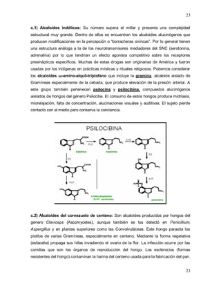 23
23
c.1) Alcaloides indólicos: Su número supera el millar y presenta una complejidad
estructural muy grande. Dentro de ellos se encuentran los alcaloides alucinógenos que
producen modificaciones en la percepción o “borracheras oníricas”. Por lo general tienen
una estructura análoga a la de los neurotransmisores mediadores del SNC (serotonina,
adrenalina) por lo que tendrían un efecto agonista competitivo sobre los receptores
presinápticos específicos. Muchas de estas drogas son originarias de América y fueron
usadas por los indígenas en prácticas místicas y rituales religiosos. Podemos considerar
los alcaloides ω-amino-alquil-triptofano que incluye la gramina, alcaloide aislado de
Gramíneas especialmente de la cebada, que produce elevación de la presión arterial. A
este grupo también pertenecen psilocina y psilocibina, compuestos alucinógenos
aislados de hongos del género Psilocibe. El consumo de estos hongos produce midriasis,
miorelajación, falta de concentración, alucinaciones visuales y auditivas. El sujeto pierde
contacto con el medio pero conserva la conciencia.
c.2) Alcaloides del cornezuelo de centeno: Son alcaloides producidos por hongos del
género Claviceps (Ascomycetes), aunque también se los detectó en Penicillium,
Aspergillus y en plantas superiores como las Convolvuláceas. Este hongo parasita los
pistilos de varias Gramíneas, especialmente en centeno. Mediante la forma vegetativa
(esfacelia) propaga sus hifas invadiendo el ovario de la flor. La infección ocurre por las
conidias que son los órganos de reproducción del hongo. Los esclerocios (formas
resistentes del hongo) contaminan la harina del centeno usada para la fabricación del pan.
 
