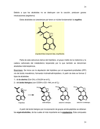 24
24
Debido a que los alcaloides no se destruyen con la cocción, producen graves
intoxicaciones (ergotismo)
Estos alcaloides se caracterizan por tener un núcleo fundamental: la ergolina
Parte de esta estructura deriva del triptofano, el grupo metilo de la metionina y la
cadena carbonada del metabolismo terpenoide por lo que también se denominan
alcalodies indol-terpénicos.
Biosíntesis: Se inicia con la alquilación del triptofano por el isopentenil-pirofosfato (IPP)
vía del ácido mevalónico, formando 4-dimetil-alil-triptofano. A partir de éste se forman 2
tipos de alcaloides:
1.- de la clavina (Con CH3 o CH2OH en el C8
2.- del ácido lisérgico (con COOH o CO—NH2 en el C8)
A partir del ácido lisérgico por incorporación de grupos amido-péptidos se obtienen
los ergot-alcaloides, de los cuales el más importante es la ergotamina. Este compuesto
 