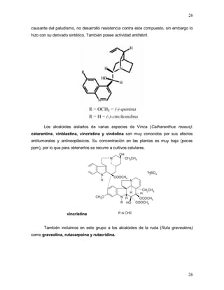 26
26
causante del paludismo, no desarrolló resistencia contra este compuesto, sin embargo lo
hizo con su derivado sintético. También posee actividad antifebril.
Los alcaloides aislados de varias especies de Vinca (Catharanthus roseus):
catarantina, vinblastina, vincristina y vindolina son muy conocidos por sus efectos
antitumorales y antineoplásicos. Su concentración en las plantas es muy baja (pocas
ppm), por lo que para obtenerlos se recurre a cultivos celulares.
vincristina
También incluimos en este grupo a los alcaloides de la ruda (Ruta graveolens)
como graveolina, rutacarpoína y rutacridina.
 
