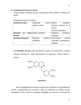 27
27
e) Alcaloides derivados de la tirosina
Incluye 3 grupos: Alcaloides del opio, derivados del núcleo aporfina y alcaloides del
peyote.
Alcaloides derivados de la tirosina
Alcaloides del opio Papaverina, tebaína,
codeína, morfina
Mprfina: analgésico
(adictivo), precursor de la
heroína
Codeína: antitusígeno
Derivados del núcleo
aporfina
Boldina, isoboldina Digestivas, coleréticas,
colagogas
Alcaloides del peyote Mescalina, hordenina,
anhalamina
Alucinaciones, visiones
coloreadas, sobreexitación,
antifatiga
e.1) Alcaloides del opio: Están presentes en el látex de la adormidera o amapola
(Papaver somniferum) y están representados por papaverina, morfina, tebaína y
codeína.
Papaverina
Se han caracterizado casi todas las enzimas que intervienen en la biosíntesis de
morfina, comprobándose que se forman a partir de S-reticulina. La síntesis de este
compuesto se inicia a partir de 2 moléculas de tirosina, una conduce a la formación de
 