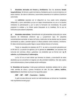 29
29
f) Alcaloides derivados de tirosina y fenilalanina: Son los alcaloides fenetil-
isoquinolínicos. Se forman a partir de tirosina y fenilalanina por la vía de la tiramina y el
ácido cinámico. Se citan la colchicina y autumnalina presentes en el cólchico (Colchicum
autumnale).
La colchicina asociada con el allopurinol es muy usada como antigotoso
(Allopuril®) y como antimitótico ya que en bajas concentraciones se une a la tubulina
inhibiendo la polimerización y por lo tanto la formación de microtúbulos. No puede
progresar la anafase y la mitosis queda bloqueada en la metafase. Se la usa en
horticultura para obtener poliploides.
g) Alcaloides esteroidales. Generalmente son glicoalcaloides producidos por varias
especies de Solanáceas (Solanum spp y Lycopersicon spp). En pequeñas
concentraciones aumentan el sabor de frutos y tubérculos de las plantas que los poseen
aumentando su sabor y también ejercen un efecto protector contra insectos y hevíboros.
En altas concentraciones pueden llegar a causar efectos tóxicos en humanos.
Tienen un esqueleto de colestano de 27 C se unen a una porción glicosídica por
el OH del C3. La porción de aglicona, por lo general es solanidina. Los azúcares más
comunes son ramnosa, xilosa y galactosa. Los alcaloides que se forman son: αy ß-
solanina, α y ß-chaconina, ß solamargina.
La luz UV es un buen elicitor que favorece la síntesis y acumulación de estos
alcaloides que se concentran en órganos con alta actividad metabólica. Han sido usados
como anticancerosos y tienen probada acción antifúngica.
h) Alcaloides de la purina. A este grupo pertenecen alcaloides aislados del te, yerba
mate, semillas de cacao y granos inmaduros de café. Se citan: cafeína, teofilina,
teobromina.Su biosíntesis ocurre por los siguientes pasos:
AMP → IMP → GMP → Guanosina → Xantina
A partir de esta última por acción de metil-transferasas se forman los 3 alcaloides
más importantes de este grupo.
 