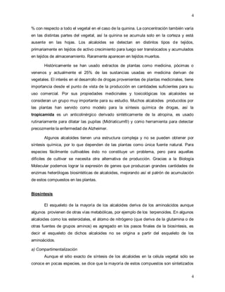 4
4
% con respecto a todo el vegetal en el caso de la quinina. La concentración también varía
en las distintas partes del vegetal, así la quinina se acumula solo en la corteza y está
ausente en las hojas. Los alcaloides se detectan en distintos tipos de tejidos,
primariamente en tejidos de activo crecimiento para luego ser translocados y acumulados
en tejidos de almacenamiento. Raramente aparecen en tejidos muertos.
Históricamente se han usado extractos de plantas como medicina, pócimas o
venenos y actualmente el 25% de las sustancias usadas en medicina derivan de
vegetales. El interés en el desarrollo de drogas provenientes de plantas medicinales, tiene
importancia desde el punto de vista de la producción en cantidades suficientes para su
uso comercial. Por sus propiedades medicinales y toxicológicas los alcaloides se
consideran un grupo muy importante para su estudio. Muchos alcaloides producidos por
las plantas han servido como modelo para la síntesis química de drogas, así la
tropicamida es un anticolinérgico derivado sintéticamente de la atropina, es usado
rutinariamente para dilatar las pupilas (Midriaticum®) y como herramienta para detectar
precozmente la enfermedad de Alzheimer.
Algunos alcaloides tienen una estructura compleja y no se pueden obtener por
síntesis química, por lo que dependen de las plantas como única fuente natural. Para
especies fácilmente cultivables ésto no constituye un problema, pero para aquellas
difíciles de cultivar se necesita otra alternativa de producción. Gracias a la Biología
Molecular podemos lograr la expresión de genes que produzcan grandes cantidades de
enzimas heterólogas biosintéticas de alcaloides, mejorando así el patrón de acumulación
de estos compuestos en las plantas.
Biosíntesis
El esqueleto de la mayoría de los alcaloides deriva de los aminoácidos aunque
algunos provienen de otras vías metabólicas, por ejemplo de los terpenoides. En algunos
alcaloides como los esteroidales, el átomo de nitrógeno (que deriva de la glutamina o de
otras fuentes de grupos aminos) es agregado en los pasos finales de la biosíntesis, es
decir el esqueleto de dichos alcaloides no se origina a partir del esqueleto de los
aminoácidos.
a) Compartimentalización
Aunque el sitio exacto de síntesis de los alcaloides en la célula vegetal sólo se
conoce en pocas especies, se dice que la mayoría de estos compuestos son sintetizados
 