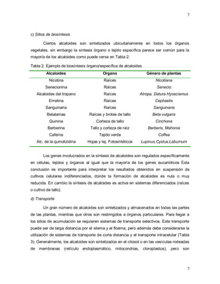 7
7
c) Sitios de biosíntesis
Ciertos alcaloides son sintetizados ubicuitariamente en todos los órganos
vegetales, sin embargo la síntesis órgano o tejido específica parece ser común para la
mayoría de los alcaloides como puede verse en Tabla 2.
Tabla 2. Ejemplo de biosíntesis órgano/específica de alcaloides
Alcaloides Organo Género de plantas
Nicotina Raíces Nicotiana
Senecionina Raíces Senecio
Alcaloides del tropano Raíces Atropa, Datura Hyosciamus
Emetina Raíces Cephaelis
Sanguinaria Raíces Sanguinaria
Betalaínas Raíces y brotes de tallo Beta vulgaris
Quinina Corteza de tallo Cinchona
Berberina Tallo y corteza de raíz Berberis, Mahonia
Cafeína Tejido verde Coffea
Alc. de la quinolizidina Hojas y tej. Fotosintéticos Lupinus,Cystus,Laburnum
Los genes involucrados en la síntesis de alcaloides son regulados específicamente
en células, tejidos y órganos al igual que la mayoría de los genes eucarióticos Esta
conclusión es importante para interpretar los resultados obtenidos en suspensión de
cultivos celulares indiferenciados, donde la formación de alcaloides es nula o muy
reducida. En cambio la síntesis de alcaloides es activa en sistemas diferenciados (raíces
o cultivo de tallo).
d) Transporte
Un gran número de alcaloides son sintetizados y almacenados en todas las partes
de las plantas, mientras que otros son restringidos a órganos particulares. Para llegar a
los sitios de acumulación se requieren sistemas de transporte selectivos. Este transporte
puede ser de larga distancia por el xilema y el floema, pero además debe considerarse la
utilización de sistemas de transporte de corta distancia y el transporte intracelular (Tabla
3). Generalmente, los alcaloides son sintetizados en el citosol o en las vesículas rodeadas
de membranas (retículo endoplasmático, mitocondrias, cloroplastos), pero son
 