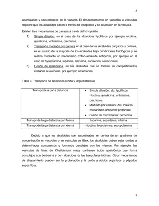 8
8
acumulados y secuestrados en la vacuola. El almacenamiento en vacuolas o vesículas
requiere que los alcaloides pasen a través del tonoplasto y se acumulen en la vacuola.
Existen tres mecanismos de pasajes a través del tonoplasto:
1) Simple difusión, en el caso de los alcaloides lipofílicos por ejemplo nicotina,
ajmalicina, vinblastina, colchicina.
2) Transporte mediado por carriers en el caso de los alcaloides cargados y polares,
es el estado de la mayoría de los alcaloides bajo condiciones fisiológicas y se
realiza mediante un mecanismo protón-alcaloide antiporter, por ejemplo en el
caso de hyosciamina, lupanina, reticulina, esculerina, senecionina
3) Fusión de membrana, en los alcaloides que se forman en compartimentos
cerrados o vesículas, por ejemplo la berberina.
Tabla 3. Transporte de alcaloides (corta y larga distancia)
Debido a que los alcaloides son secuestrados en contra de un gradiente de
concentración en vacuolas o en vesículas de látex, los alcaloides deben estar unidos a
determinados compuestos o formando complejos con los mismos. Por ejemplo, las
vesículas de látex de Chelidonium majus contienen ácido quelidónico que forma
complejos con berberina y con alcaloides de las benzofenantridinas. Otros mecanismos
de atrapamiento pueden ser la protonación y la unión a ácidos orgánicos o péptidos
específicos.
Transporte a corta distancia  Simple difusión: alc. lipofílicos
nicotina, ajmalicina, vinblastina,
colchicina.
 Mediado por carriers: Alc. Polares
mecanismo antiporter protón/alc
 Fusión de membranas: berberina
Transporte larga distancia por floema lupanina, esparteína, citisina
Transporte larga distancia por xilema nicotina, hiosciamina, escopolamina
 