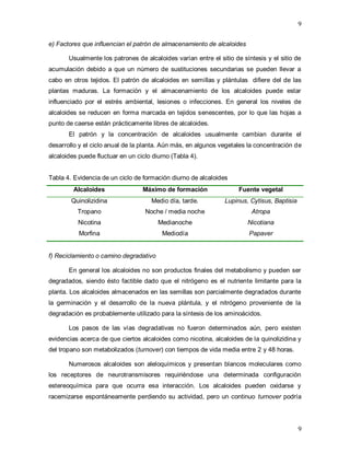 9
9
e) Factores que influencian el patrón de almacenamiento de alcaloides
Usualmente los patrones de alcaloides varían entre el sitio de síntesis y el sitio de
acumulación debido a que un número de sustituciones secundarias se pueden llevar a
cabo en otros tejidos. El patrón de alcaloides en semillas y plántulas difiere del de las
plantas maduras. La formación y el almacenamiento de los alcaloides puede estar
influenciado por el estrés ambiental, lesiones o infecciones. En general los niveles de
alcaloides se reducen en forma marcada en tejidos senescentes, por lo que las hojas a
punto de caerse están prácticamente libres de alcaloides.
El patrón y la concentración de alcaloides usualmente cambian durante el
desarrollo y el ciclo anual de la planta. Aún más, en algunos vegetales la concentración de
alcaloides puede fluctuar en un ciclo diurno (Tabla 4).
Tabla 4. Evidencia de un ciclo de formación diurno de alcaloides
Alcaloides Máximo de formación Fuente vegetal
Quinolizidina Medio día, tarde. Lupinus, Cytisus, Baptisia
Tropano Noche / media noche Atropa
Nicotina Medianoche Nicotiana
Morfina Mediodía Papaver
f) Reciclamiento o camino degradativo
En general los alcaloides no son productos finales del metabolismo y pueden ser
degradados, siendo ésto factible dado que el nitrógeno es el nutriente limitante para la
planta. Los alcaloides almacenados en las semillas son parcialmente degradados durante
la germinación y el desarrollo de la nueva plántula, y el nitrógeno proveniente de la
degradación es probablemente utilizado para la síntesis de los aminoácidos.
Los pasos de las vías degradativas no fueron determinados aún, pero existen
evidencias acerca de que ciertos alcaloides como nicotina, alcaloides de la quinolizidina y
del tropano son metabolizados (turnover) con tiempos de vida media entre 2 y 48 horas.
Numerosos alcaloides son aleloquímicos y presentan blancos moleculares como
los receptores de neurotransmisores requiriéndose una determinada configuración
estereoquímica para que ocurra esa interacción. Los alcaloides pueden oxidarse y
racemizarse espontáneamente perdiendo su actividad, pero un continuo turnover podría
 