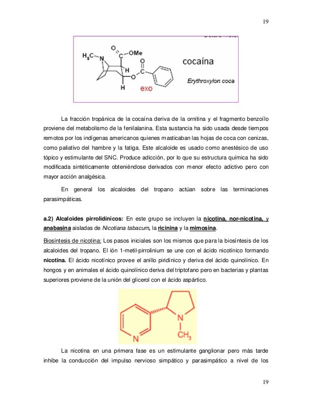 Alcaloides mecanismo de accion