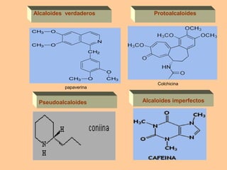 Alcaloides verdaderos
CH3

O

CH3

O

Protoalcaloides

N
CH2

O
CH3

papaverina

Pseudoalcaloides

O

CH3

Colchicina

Alcaloides imperfectos

 