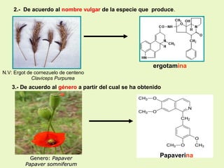 2.- De acuerdo al nombre vulgar de la especie que produce.

ergotamina
N.V: Ergot de cornezuelo de centeno
Claviceps Purpurea

3.- De acuerdo al género a partir del cual se ha obtenido
CH3

O

CH3

O

N
CH2

O
CH3

Genero: Papaver
Papaver somniferum

O

Papaverina

CH3

 