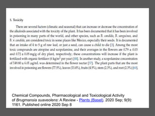 Chemical Compounds, Pharmacological and Toxicological Activity
of Brugmansia suaveolens: A Review - Plants (Basel). 2020 Sep; 9(9):
1161. Published online 2020 Sep 8
 