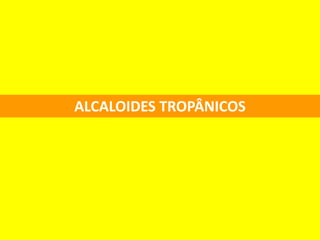 ALCALOIDES TROPÂNICOS
 