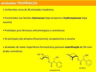 alcaloides TROPÂNICOS
• Conhecidos cerca de 40 alcaloides tropânicos
• Encontrados nas famílias Solanaceae (tipo atropina) e Erythroxylaceae (tipo
cocaína)
• Protótipos para fármacos anticolinérgicos e anestésicos
• Os principais são atropina (hiosciamina), escopolamina e cocaína
• alcaloides de maior importância farmacêutica possuem esterificação de OH com
ácidos aromáticos
atropina
escopolamina
 