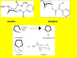 cocaína atropina
 
