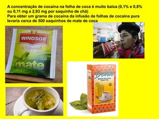 A concentração de cocaína na folha de coca é muito baixa (0,1% e 0,8%
ou 0,11 mg a 2,93 mg por saquinho de chá)
Para obter um grama de cocaína da infusão de folhas de cocaína pura
levaria cerca de 500 saquinhos de mate de coca
 