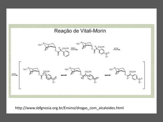 http://www.sbfgnosia.org.br/Ensino/drogas_com_alcaloides.html
 