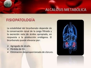 La estabilidad del bicarbonato depende de
la conservación renal de la carga filtrada y
la excreción neta de ácidos apropiada, en
respuesta a la producción endógena. El
bicarbonato puede elevarse por:

 Agregado de álcalis.
 Pérdida de H+.
 Eliminación desproporcionada de cloruro.
 