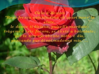 Cielo d'Alcamo "Rosa fresca aulentissima ch'apari inver' la state, le donne ti disiano, pulzell'e maritate: tràgemi d'este focora, se t'este a bolontate; per te non ajo abento notte e dia, penzando pur di voi,madonna mia."... 