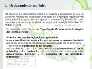 1. Ordenamiento ecológico
“El proceso de planeación dirigido a evaluar y programar el uso del
suelo y el manejo de los recursos naturales en el territorio nacional y las
zonas sobre las que la nación ejerce su soberanía y jurisdicción, para
preservar y restaurar el equilibrio ecológico y proteger al ambiente”.
(Art.3 LGEEPA)
Se trabajaba a través de los Proyectos de Ordenamiento Ecológico
del Territorio (POET).
-Estudios de carácter regional y programático
-usos específicos del suelo y las normas para un aprovechamiento
racional y sostenido (análisis físicos y biológicos de los ecosistemas)
- -determinar el potencial de sus recursos,
-se combinaba con las características socioeconómicas de la
población y las tendencias de ocupación del territorio por los
asentamientos humanos y el desarrollo de las actividades
productivas.
 