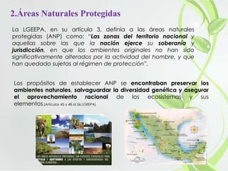 2.Áreas Naturales Protegidas
La LGEEPA, en su artículo 3, definía a las áreas naturales
protegidas (ANP) como: “Las zonas del territorio nacional y
aquellas sobre las que la nación ejerce su soberanía y
jurisdicción, en que los ambientes originales no han sido
significativamente alterados por la actividad del hombre, y que
han quedado sujetas al régimen de protección”.
Los propósitos de establecer ANP se encontraban preservar los
ambientes naturales, salvaguardar la diversidad genética y asegurar
el aprovechamiento racional de los ecosistemas y sus
elementos.(Artículos 45 y 48 al 56,LGEEPA)
 